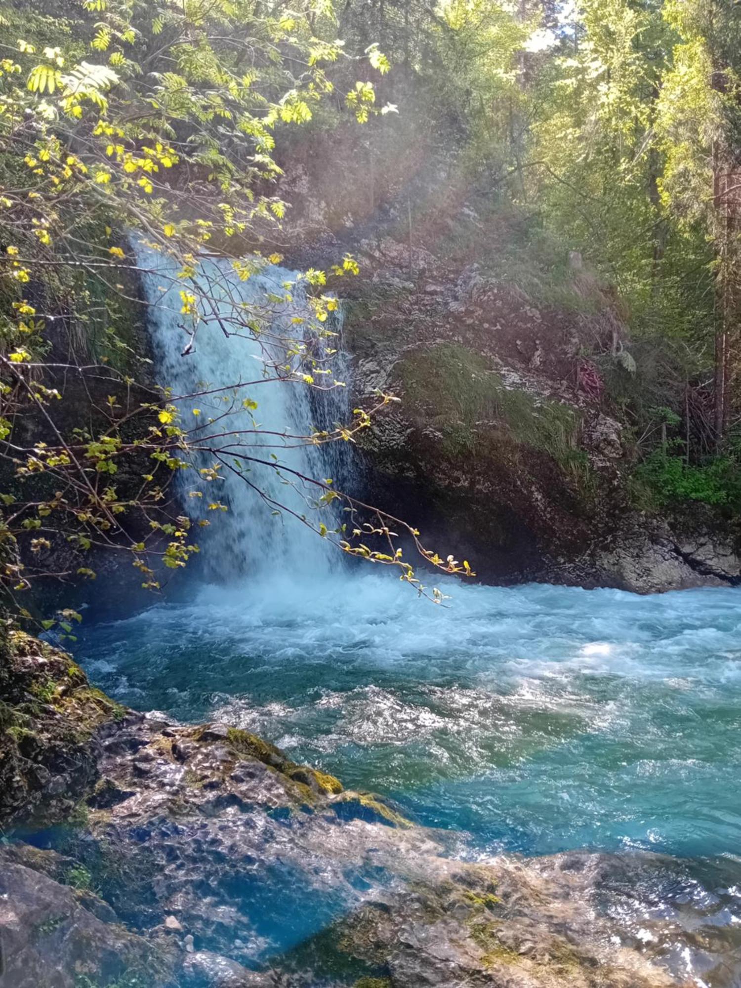 B&B Family Room Tubej Bohinj Εξωτερικό φωτογραφία